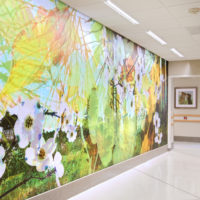 The Benefits of Artwork in the Healthcare Environment